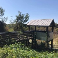 Mineola Nature Preserve